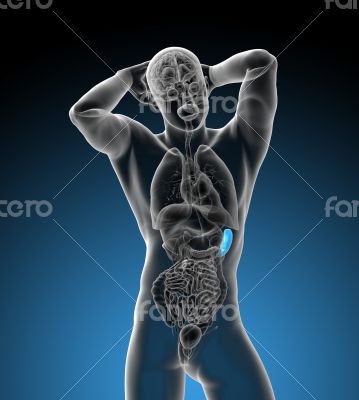 3d render medical illustration of the spleen 