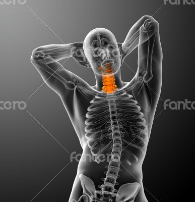  cervical spine