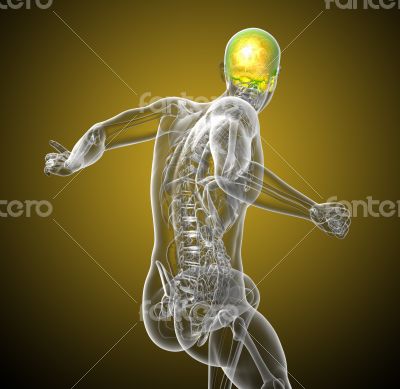 3d render medical illustration of the upper skull 