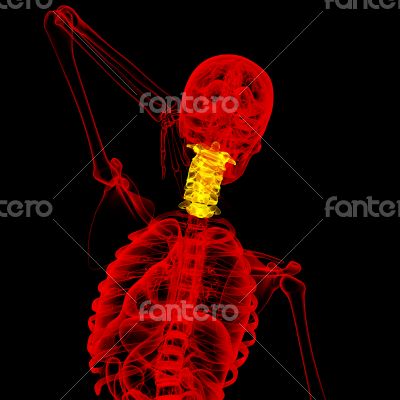 cervical spine cervical spine