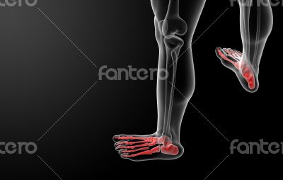 3d render x-ray of foot 