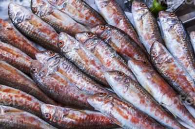 Fresh sea fish on a counter
