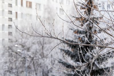 View from the window on the winter city 