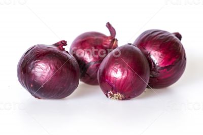 Large bulbs of red onions