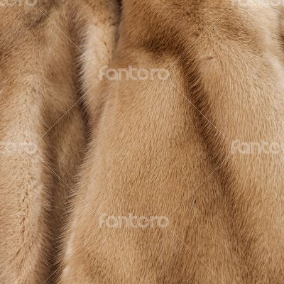 Product from fur of a mink