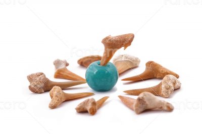 The Shark Teeth  and turquoise on the white