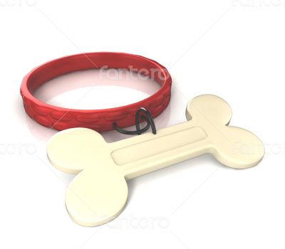 necklace with dog identification necklace with dog identification