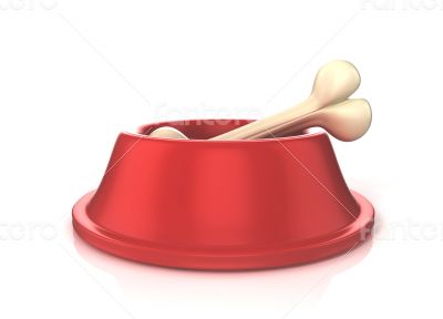 pets bowl with bone render pets bowl with bone render