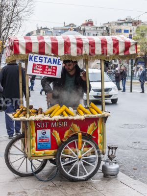 Istanbul, street dealer with the goods cart