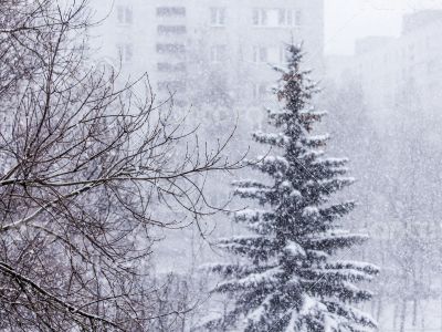 Pushkino, Russia, winter landscape