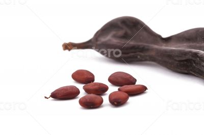 The Ripe Carob on the white background