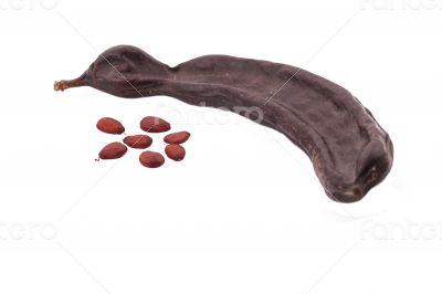 The Ripe Carob on the white background