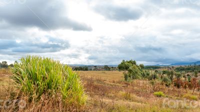 Dark clouds hovering over the fields