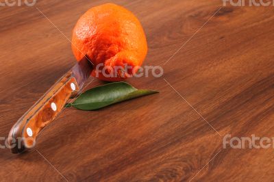 The Seville Orange Jam Part on The Wood The Seville Orange Jam Part on The Wood