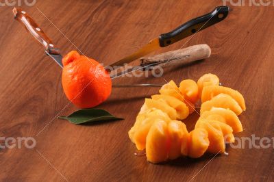 The Seville Orange Jam Part on The Wood The Seville Orange Jam Part on The Wood