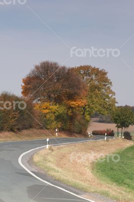 curvy road