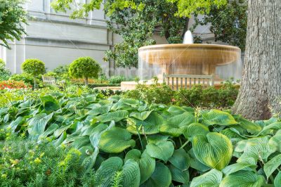 Water fountain in the garden