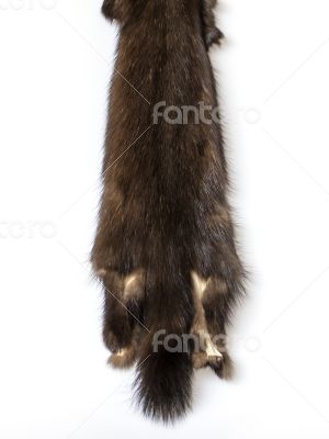 Skins of a sable