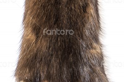 Skins of a sable