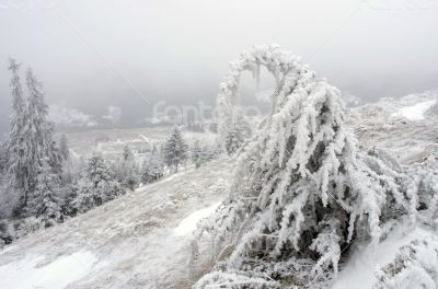 winter calm mountain landscape