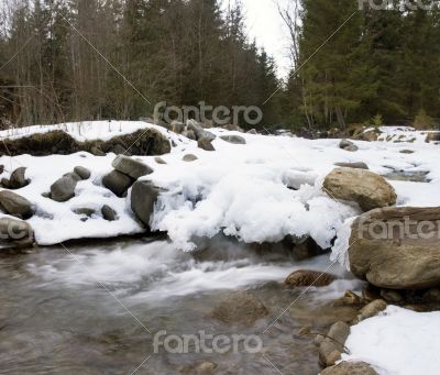 Flowing water of Carpathian mountain stream