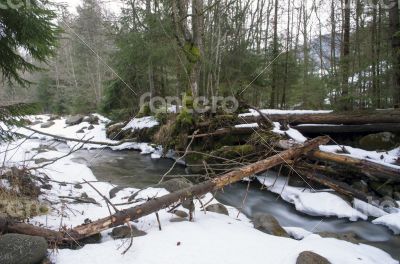 Flowing water of Carpathian mountain stream