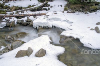 Flowing water of Carpathian mountain stream