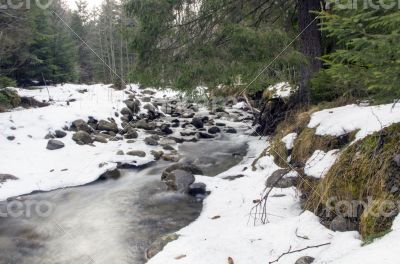 Flowing water of Carpathian mountain stream
