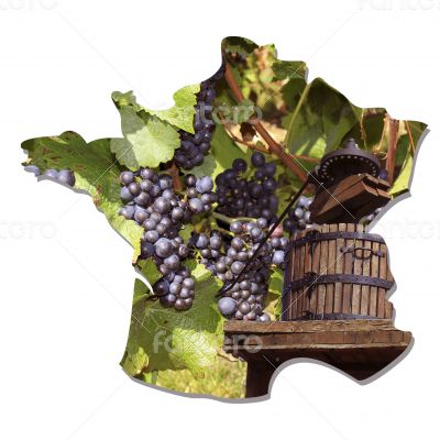 Vines Vines