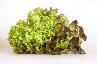 Bunch of lettuce leaves of different grades Bunch of lettuce leaves of different grades