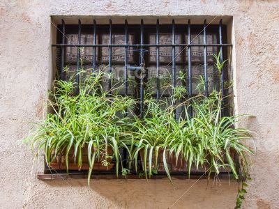 Antibe. Typical architectural details in Provencal style