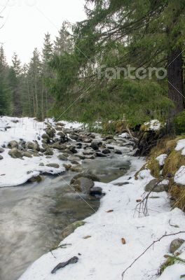 Flowing water of Carpathian mountain stream Flowing water of Carpathian mountain stream