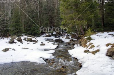 Flowing water of Carpathian mountain stream Flowing water of Carpathian mountain stream