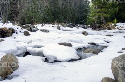 Flowing water of Carpathian mountain stream Flowing water of Carpathian mountain stream
