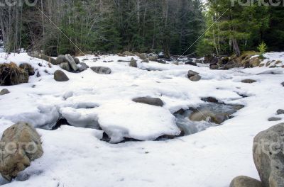 Flowing water of Carpathian mountain stream