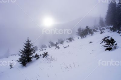 winter calm mountain landscape