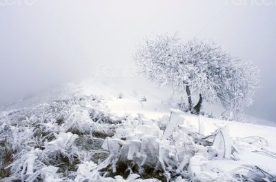 winter calm mountain landscape