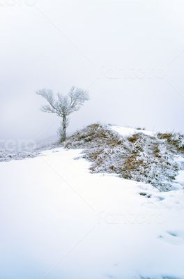 winter calm mountain landscape