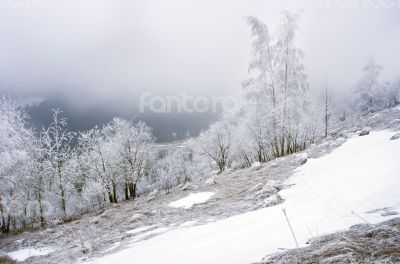 winter calm mountain landscape