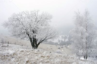 winter calm mountain landscape