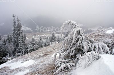 winter calm mountain landscape