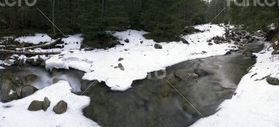 Flowing water of Carpathian mountain stream Flowing water of Carpathian mountain stream