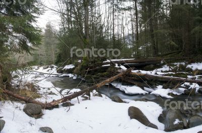 Flowing water of Carpathian mountain stream Flowing water of Carpathian mountain stream
