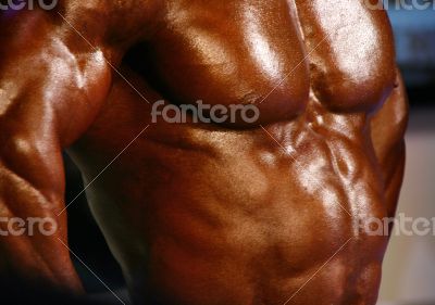 muscular male chest