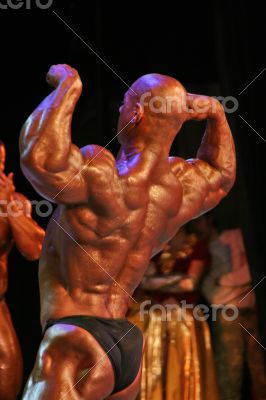 bodybuilder athlete\'s torso