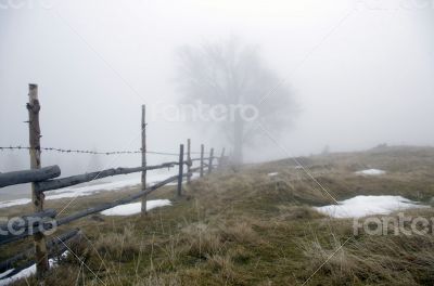 winter calm mountain landscape