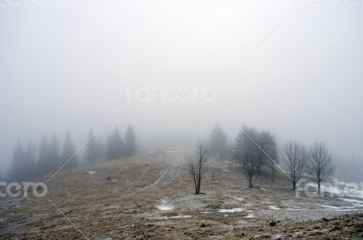 winter calm mountain landscape