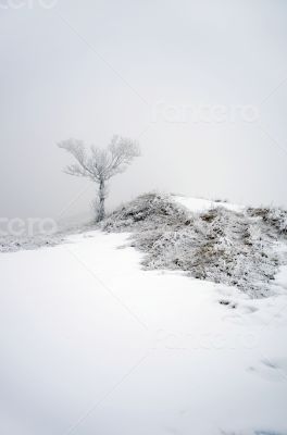 winter calm mountain landscape