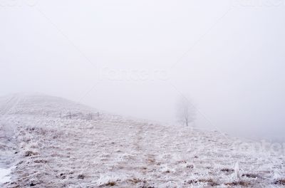 winter calm mountain landscape