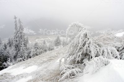 winter calm mountain landscape